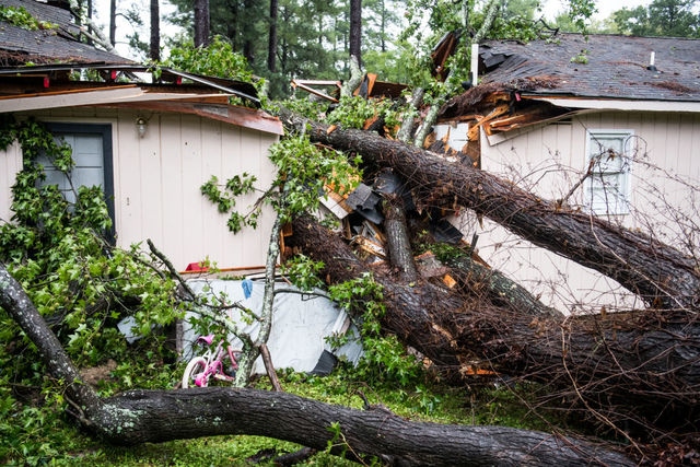 COLUMBIA, SC - OCTOBER 11: A fallen tree rests on a house after remnants of Hurricane Michael passed through on October 11, 2018 in Columbia, South Carolina. The accident sent at least one person to the hospital. (Photo by Sean Rayford/Getty Images)