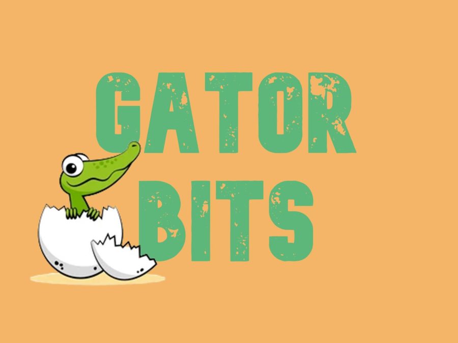Gator Bits: Rebeca Muñoz