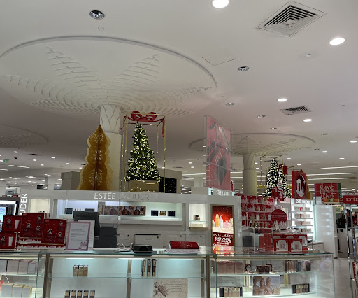 A store with Christmas decorations