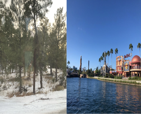 Picture of Arizona next to picture of Orlando, Florida