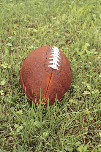 American football laying on grass
