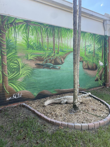Alligator at WLMS