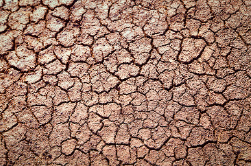 Dry, cracked ground mid drought