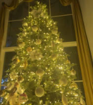 A picture of a decorated Christmas tree