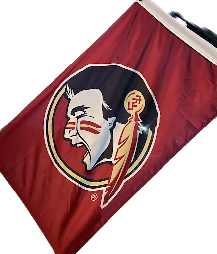 Florida State is a team that got knocked out of the playoffs and this is their flag.