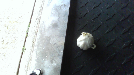 A clove of garlic.