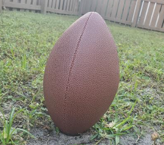  A football standing up in the grass