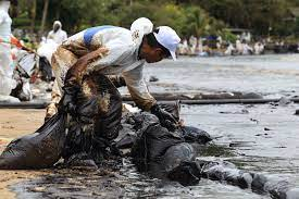 Man cleaning up oil spill