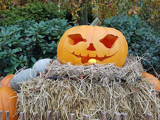 Picture of a  carved pumpkin with a face