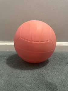 Photo caption: rubber ball that is used to play games