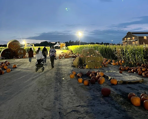 A Pumpkin Patch.