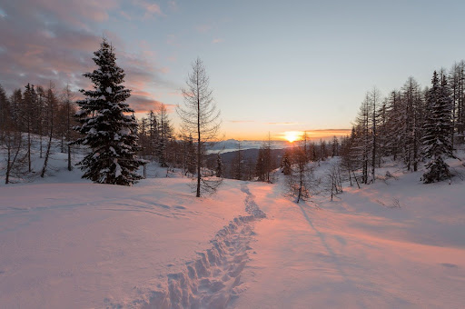 A photo from Wikimedia Commons is of a winter sunrise.
