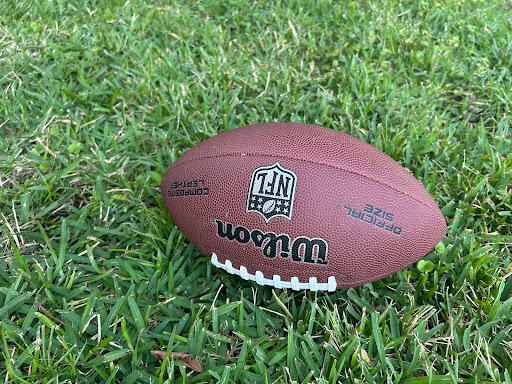 A picture of a Wilson Football.