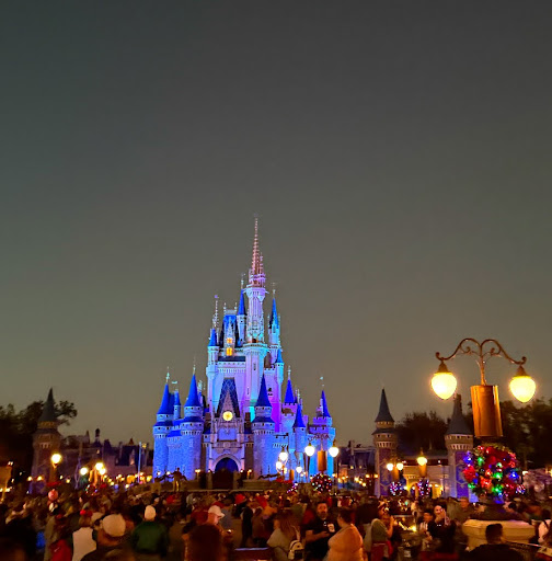 Picture of Magic Kingdom castle.