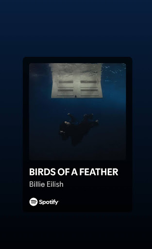    Billie’s popular song “Bird’s of a Feather.”
