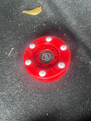 Red hockey puck