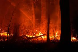 Image of the New Jersey wildfires