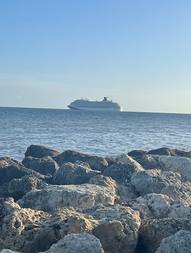 Picture of a cruise ship