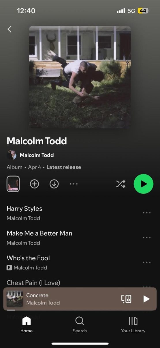 Picture of the album on Spotify taken from my phone.