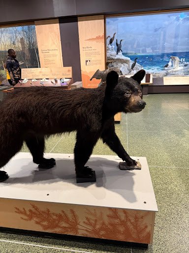 Picture of a statue of a bear