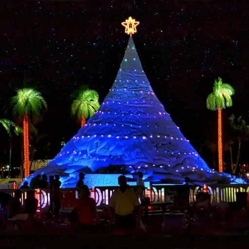 Image of Sandy the sand tree