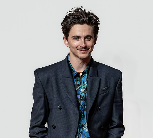 Picture of Timothee Chalamet