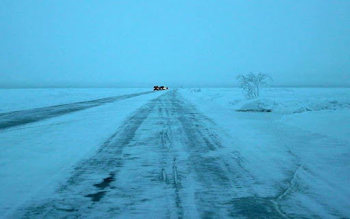 Picture of a Frozen Rode