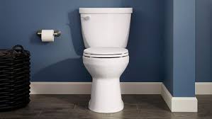 Picture of a Toilet