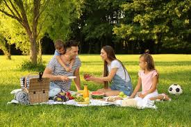 Image of family enjoying their weekend having a picnic 